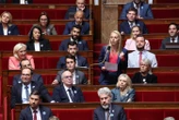 Mouvement du 10 septembre : le RN « n’a pas vocation à organiser des manifestations », assure sa vice-présidente