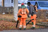 Les habitants de la plus grande ville de Suisse votent pour l’interdiction des souffleurs de feuilles à essence