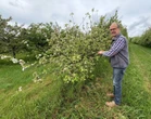 « Un jus de pomme se déguste comme un bon vin » : les producteurs du Pays d’Othe veulent défendre leur savoir-faire avec une IGP