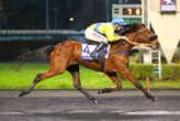 Gazelle de Val pose ses jalons pour le Prix de Cornulier, prévu le 19 janvier sur l’hippodrome de Paris-Vincennes