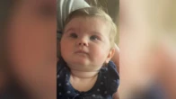 Un bébé mystérieusement découvert dans un siège auto au milieu du jardin d’un inconnu, ses parents retrouvés assassinés