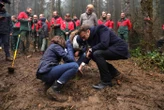 « La moitié n’a pas survécu » : dans le Jura, les arbres plantés par Emmanuel Macron victimes des cerfs