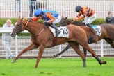 Arrivée du quinté du mardi 23 septembre à Auteuil : Première réussie pour Family Speed