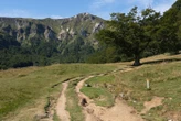 Volcans, vallées, lacs et pics : voici les dix plus belles randonnées du Puy-de-Dôme à arpenter cet été