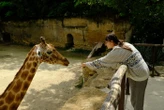 « Quel honneur pour un petit établissement privé comme le nôtre ! » : ce zoo français sacré par National Geographic