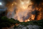 Avec 13 000 hectares parcourus, l’incendie dans l’Aude est le plus important en France depuis au moins 20 ans