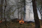 DIRECT. Incendies : le combat contre le feu continue, Emmanuel Macron attendu à Fontainebleau ce jeudi