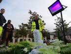 « Un jour, nos villages seront en partie éclairés grâce à ce procédé » : la nuit tombée, ces plantes s’illuminent