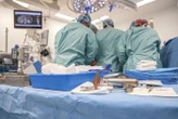 « Une découverte cruciale » : un patient chinois survit près de six mois grâce à un foie de porc génétiquement modifié
