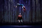 Lévitation, invisibilité : de la magie au Cirque du soleil grâce à deux illusionnistes Normands