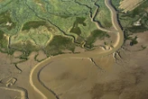 Un chantier unique en Europe pour rendre à la nature la baie de l’Aiguillon