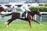 Arrivée du quinté du mardi 23 juin à Dieppe : enfin le jour de Mister Chang