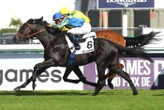 Arrivée du quinté du dimanche 13 juillet à ParisLongchamp : Ganass, en quelques foulées