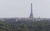 Face au changement climatique, Paris réfléchit à planter de nouvelles essences d’arbres 