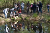 Observer la faune en kayak, cueillir des plantes médicinales : passez un été très nature dans l’Eure
