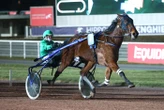 Arrivée du quinté du vendredi 7 mars à Enghien : Playboy de Rêve s’impose de bout en bout