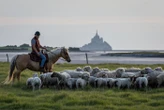 « Je peux crier mes ordres sans être couvert par le bruit » : ce berger du Mont-Saint-Michel travaille à cheval
