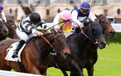 PMU - Arrivée du quinté du 24 mai à ParisLongchamp : Go To Hollywood décroche son étoile