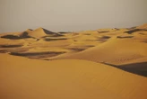 Ils projetaient de « sacrifier » leur fils dans le Sahara : le parquet fait appel de la relaxe partielle des parents