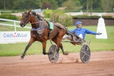 Arrivée du quinté du lundi 15 septembre à Agen : Kingslayer Pellini en balade dans le Lot-et-Garonne
