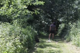 Incivilités : 10 ans après son ouverture, la réserve naturelle près de Toulouse doit encore apprendre à gérer la présence humaine
