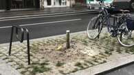 « Un massacre à la tronçonneuse » : à Paris, des arbres plantés il y a quelques semaines abattus par erreur