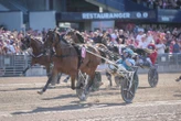 Elitloppet 2026 : la fusée Allegiant balaye les Français et permet à la Suède de renouer avec la victoire à domicile