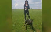 Mort d’Élisa Pilarski : l’euthanasie du chien Curtis suspendue, Christophe Ellul fait appel de sa condamnation