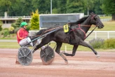 Arrivée du quinté du samedi 5 juillet à Enghien : le récital parfait de King Opera