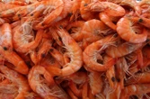 Listeria : des lots de crevettes rappelés dans toute la France