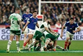 France-Afrique du Sud (17-32) : pourquoi les joueurs étaient recouverts de vert après le match ?