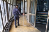 Bordeaux : confondu avec un homonyme, un détenu condamné à dix ans de prison est libéré par erreur