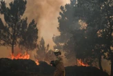 Incendies au Portugal : un pompier meurt en combattant le feu, le quatrième déjà cet été