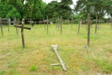 Rendre sa dignité à « la nécropole des oubliés » : des travaux lancés au cimetière psychiatrique de Mayenne