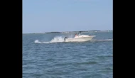 « Elle était vraiment en détresse » : une baleine percute un bateau de plaisance dans le New Jersey
