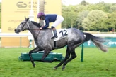 Arrivée du quinté du jeudi 4 juin à ParisLongchamp : au top, Topy’Sim !