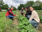 Quatre jours au bureau puis un à la ferme, tous rémunérés : à Toulouse, la polyactivité n’est plus réservée aux bénévoles