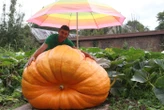 « J’y laisse des plumes mais c’est addictif… » Ce jardinier normand est le roi des légumes géants