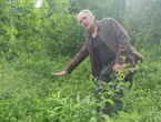 « Il y a trop de cerfs ! » : dans la Meuse, les propriétaires de forêts veulent s’allier avec les chasseurs