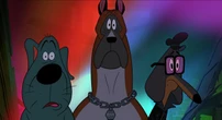 « Couic ! » sur Netflix : hors norme, ce film d’animation pour adultes a du chien