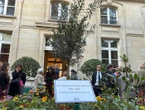« Un petit geste, mais si important » : un olivier planté à Paris en hommage à Ilan Halimi