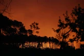 DIRECT. Incendie en Gironde : au moins 2 000 hectares brûlés et 12 000 personnes évacuées près du bassin d'Arcachon