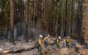 Etats-Unis : un gigantesque feu de forêt dans l’Oregon menace 2000 habitations