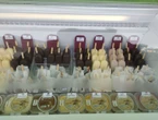 Hautes-Pyrénées : pendant la canicule, offrez-vous une glace au lait... de chèvre !