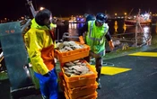 Brexit : une vague de colère submerge les pêcheurs de Boulogne-sur-Mer