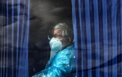 Hantavirus : ce que l’on sait sur le virus qui alerte le monde