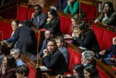 Loi agricole Duplomb : les députés LFI défendent une motion de censure contre François Bayrou