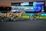 Arrivée du quinté du vendredi 19 septembre à Vincennes : Insight Spoken passe la vitesse supérieure
