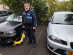 En Moselle, le fléau des voitures luxembourgeoises qui ne paient pas leur PV ni la fourrière