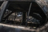 Portugal : plus de 64 000 hectares ravagés par les flammes